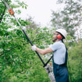 The Importance Of Professional Tree Felling In Portland, OR: What You Need To Know