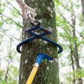 How Tree Removal Services Ensure Safe And Efficient Tree Felling