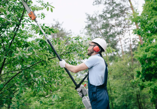 The Importance Of Professional Tree Felling In Portland, OR: What You Need To Know